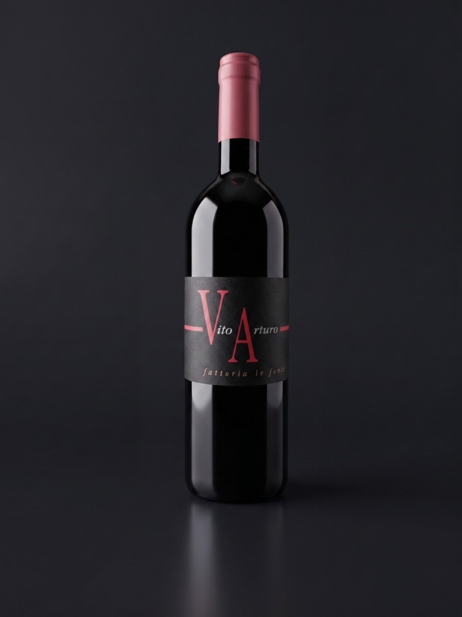 Vito Arturo 2019
