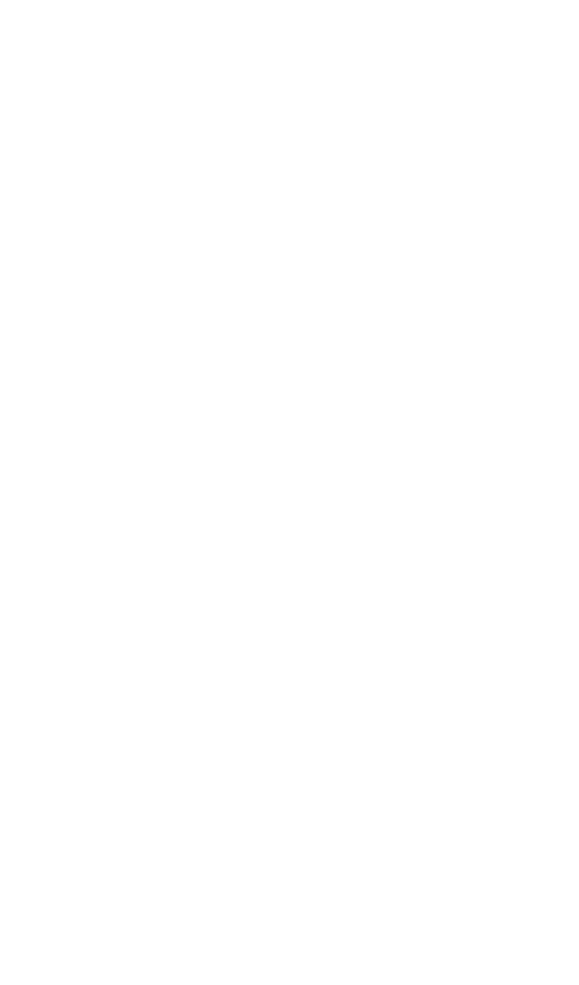 I Fiamminghi